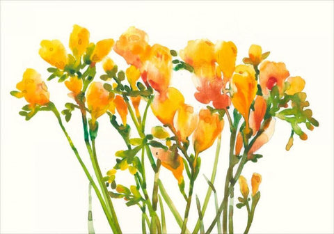 Freesia II White Modern Wood Framed Art Print with Double Matting by OToole, Tim