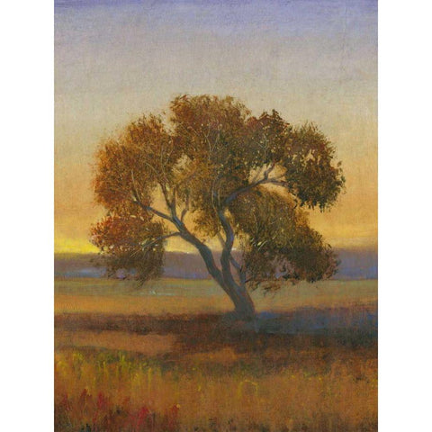 Firelight I Gold Ornate Wood Framed Art Print with Double Matting by OToole, Tim