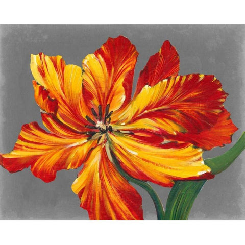 Tulip Portrait I Gold Ornate Wood Framed Art Print with Double Matting by OToole, Tim