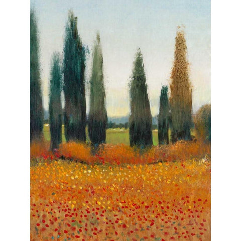 Cypress Trees I White Modern Wood Framed Art Print by OToole, Tim