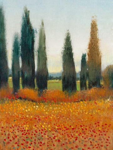 Cypress Trees I Black Ornate Wood Framed Art Print with Double Matting by OToole, Tim