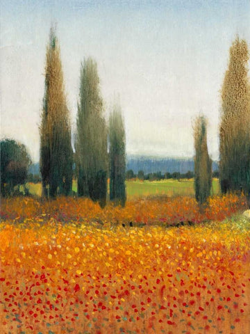 Cypress Trees II White Modern Wood Framed Art Print with Double Matting by OToole, Tim