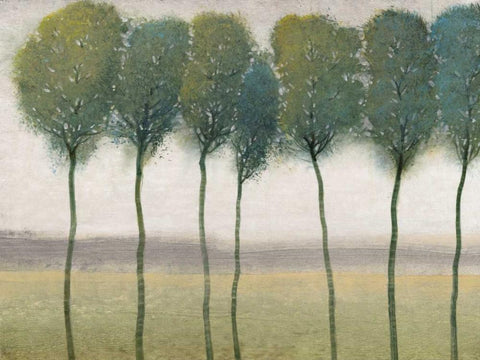 Row of Trees I Black Ornate Wood Framed Art Print with Double Matting by OToole, Tim