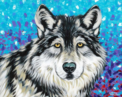 Grey Wolf II White Modern Wood Framed Art Print with Double Matting by Vitaletti, Carolee
