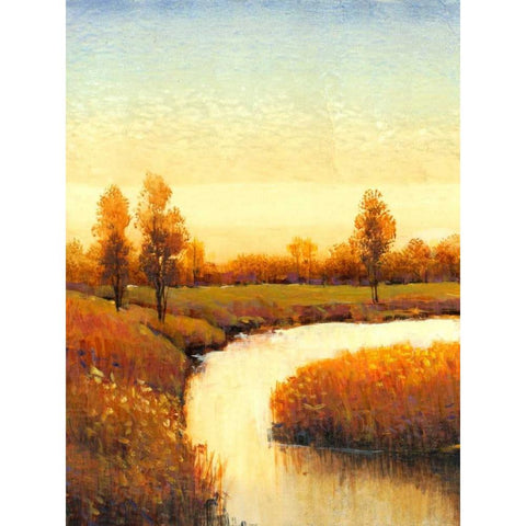 Spring Water I Gold Ornate Wood Framed Art Print with Double Matting by OToole, Tim