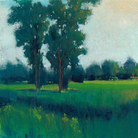 Afternoon Sun I White Modern Wood Framed Art Print with Double Matting by OToole, Tim