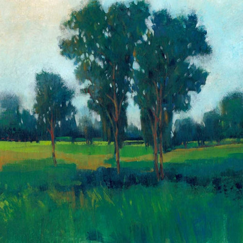 Afternoon Sun II Gold Ornate Wood Framed Art Print with Double Matting by OToole, Tim