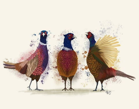 Pheasant Trio White Modern Wood Framed Art Print with Double Matting by Fab Funky
