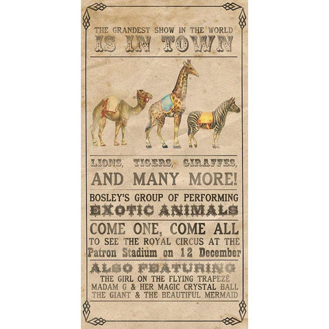 Vintage Circus Collection B Black Modern Wood Framed Art Print by Popp, Grace