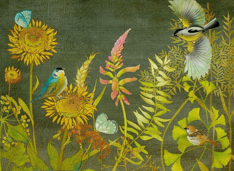 Birding Collection A White Modern Wood Framed Art Print with Double Matting by Zarris, Chariklia