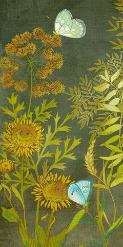 Birding Collection B White Modern Wood Framed Art Print with Double Matting by Zarris, Chariklia