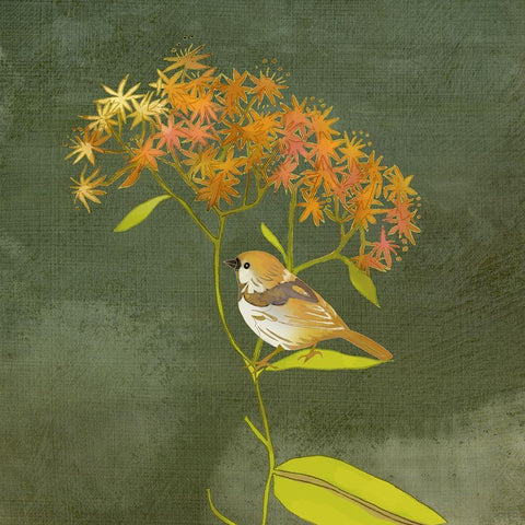 Birding Collection C Black Ornate Wood Framed Art Print with Double Matting by Zarris, Chariklia