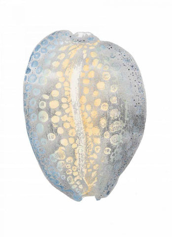 Silver Foil Shell II with Hand Color White Modern Wood Framed Art Print with Double Matting by Vision Studio