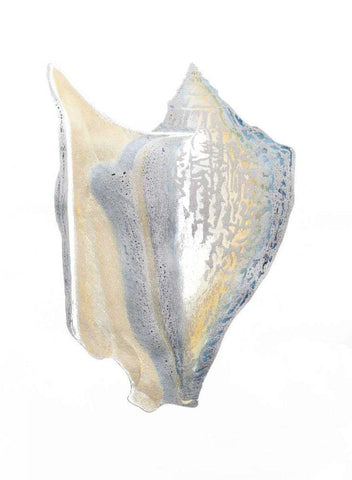 Silver Foil Shell III with Hand Color White Modern Wood Framed Art Print with Double Matting by Vision Studio