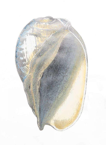 Silver Foil Shell IV with Hand Color White Modern Wood Framed Art Print with Double Matting by Vision Studio