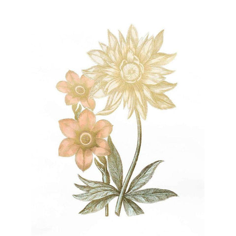 Gold Foil Chintz I with Hand Color Gold Ornate Wood Framed Art Print with Double Matting by Vision Studio