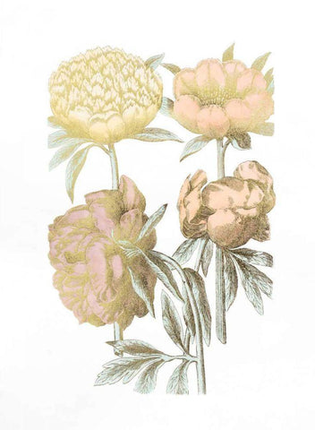 Gold Foil Chintz II with Hand Color Black Ornate Wood Framed Art Print with Double Matting by Vision Studio