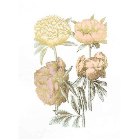 Gold Foil Chintz II with Hand Color Black Modern Wood Framed Art Print by Vision Studio