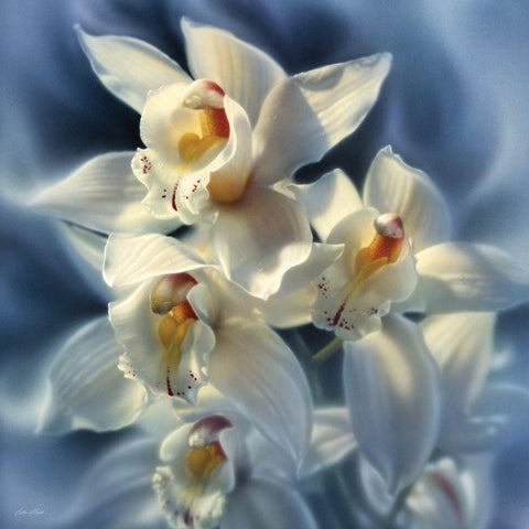 Orchids White Modern Wood Framed Art Print by Bogle, Collin