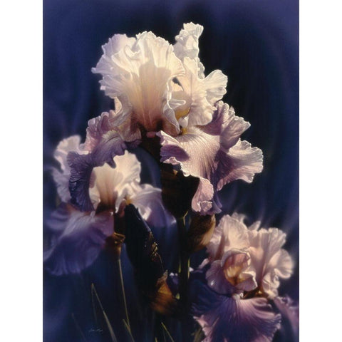 Purple Iris Gold Ornate Wood Framed Art Print with Double Matting by Bogle, Collin