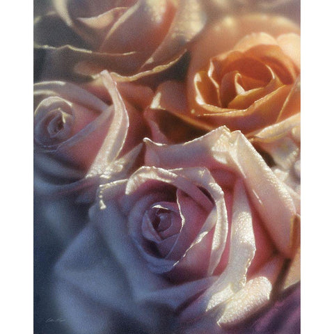 Rose Pedals Gold Ornate Wood Framed Art Print with Double Matting by Bogle, Collin