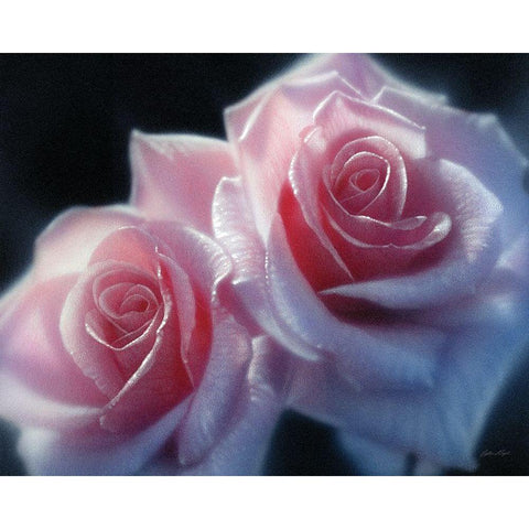 Roses - Pink Pair Gold Ornate Wood Framed Art Print with Double Matting by Bogle, Collin