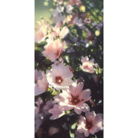 Summer Flowers Black Modern Wood Framed Art Print by Bogle, Collin