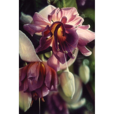 Fuchsia Gold Ornate Wood Framed Art Print with Double Matting by Bogle, Collin