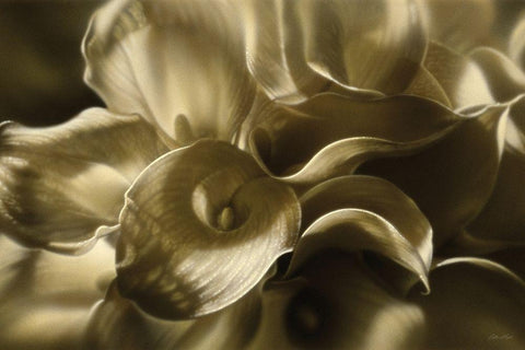Golden Lilies White Modern Wood Framed Art Print with Double Matting by Bogle, Collin