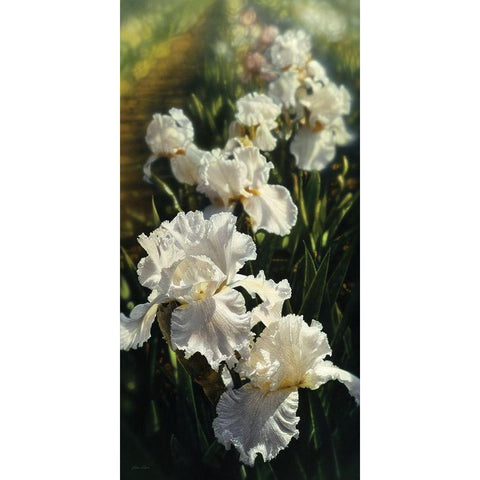 Iris Garden Gold Ornate Wood Framed Art Print with Double Matting by Bogle, Collin