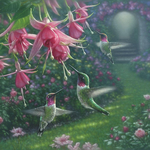 Hummingbird Haven - Square Gold Ornate Wood Framed Art Print with Double Matting by Bogle, Collin