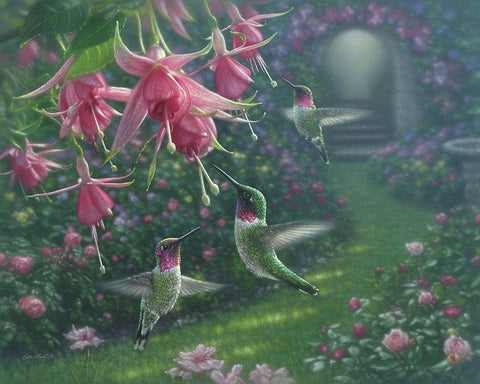 Hummingbird Haven White Modern Wood Framed Art Print with Double Matting by Bogle, Collin
