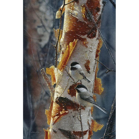 Black-Capped Chickadees - Sunlit Birch II Gold Ornate Wood Framed Art Print with Double Matting by Bogle, Collin
