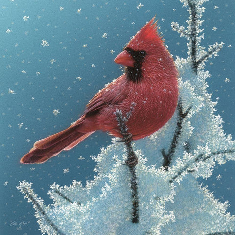 Cardinal - Cherry on Top Gold Ornate Wood Framed Art Print with Double Matting by Bogle, Collin