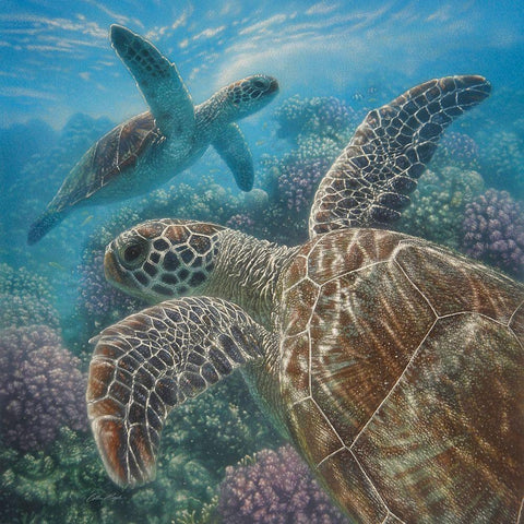 Sea Turtles - Turtle Bay - Square Gold Ornate Wood Framed Art Print with Double Matting by Bogle, Collin