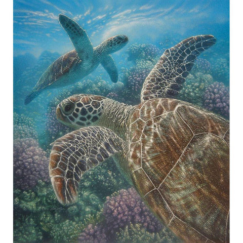 Sea Turtles - Turtle Bay Gold Ornate Wood Framed Art Print with Double Matting by Bogle, Collin