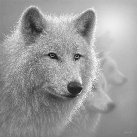 Arctic Wolves - Whiteout - BandW Gold Ornate Wood Framed Art Print with Double Matting by Bogle, Collin