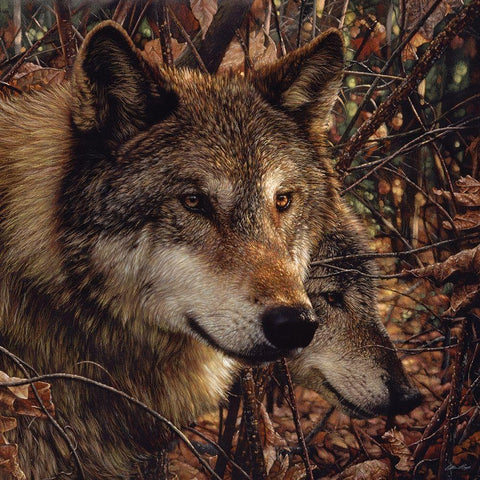 Autumn Wolves Gold Ornate Wood Framed Art Print with Double Matting by Bogle, Collin