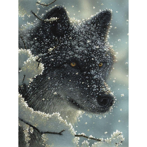 Black Wolf - Black in White Gold Ornate Wood Framed Art Print with Double Matting by Bogle, Collin