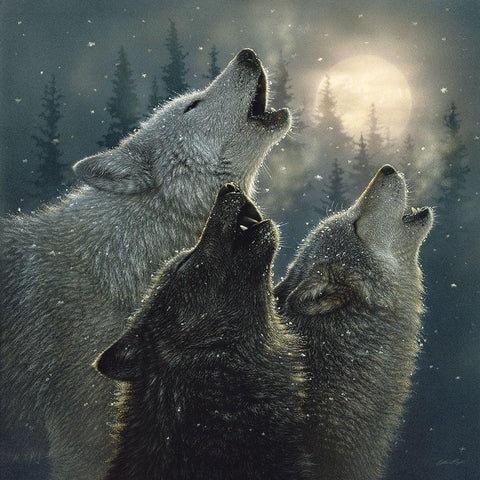 Howling Wolves - In Harmony Black Modern Wood Framed Art Print with Double Matting by Bogle, Collin