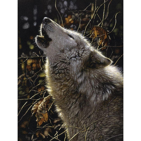 Howling Wolf - Songs of Autumn Gold Ornate Wood Framed Art Print with Double Matting by Bogle, Collin