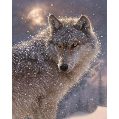 Lone Wolf Gold Ornate Wood Framed Art Print with Double Matting by Bogle, Collin