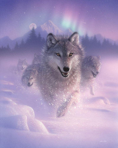 Running Wolves - Northern Lights White Modern Wood Framed Art Print with Double Matting by Bogle, Collin