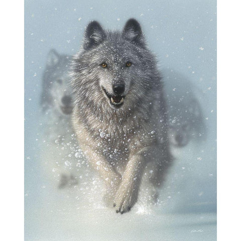 Running Wolves - Snow Plow White Modern Wood Framed Art Print by Bogle, Collin