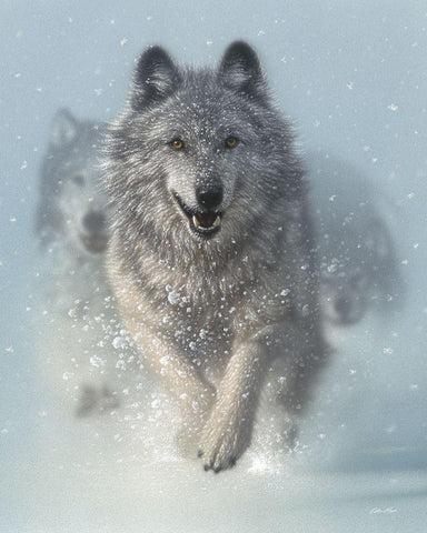 Running Wolves - Snow Plow White Modern Wood Framed Art Print with Double Matting by Bogle, Collin