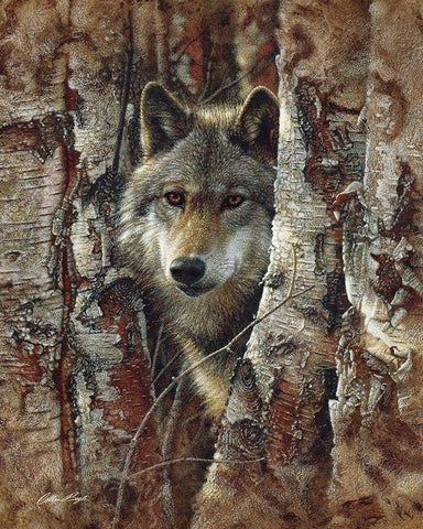 Wolf - Woodland Spirit Black Ornate Wood Framed Art Print with Double Matting by Bogle, Collin