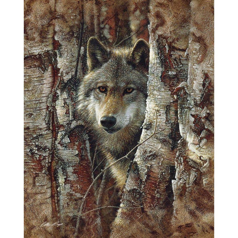 Wolf - Woodland Spirit Black Modern Wood Framed Art Print by Bogle, Collin