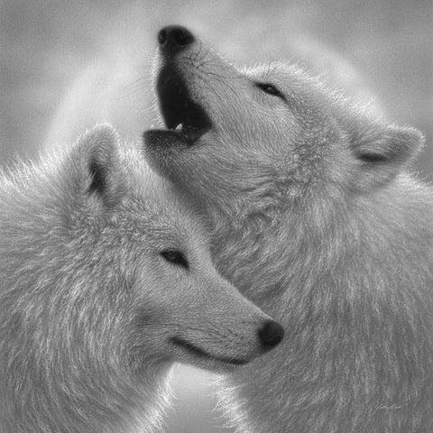 Wolves - Love Song - BandW Black Modern Wood Framed Art Print by Bogle, Collin