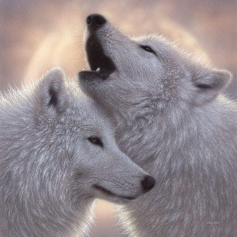 Wolves - Love Song Black Modern Wood Framed Art Print by Bogle, Collin