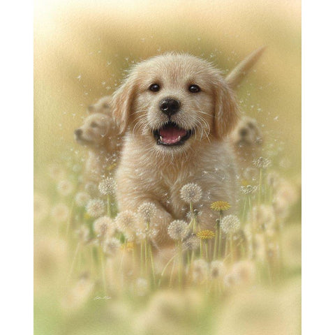 Golden Retriever Puppy - Dandelions Black Modern Wood Framed Art Print by Bogle, Collin
